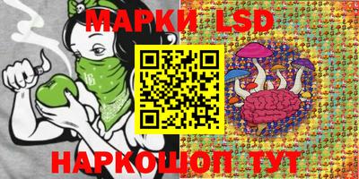 прущие грибы Кингисепп