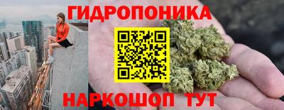 mdpv Кимры