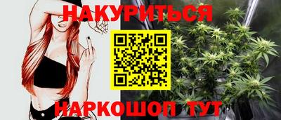 прущие грибы Кингисепп